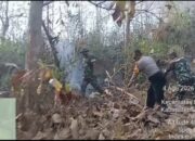 Hutan Jati