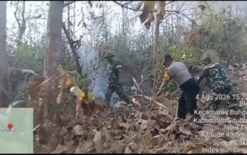 Hutan Jati
