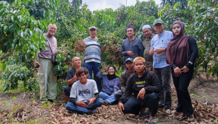 KTH Makmur Tambak Ukir dan IPB Studi Banding Budidaya Kelengkeng